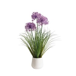 Allium Purple Vase 51cm