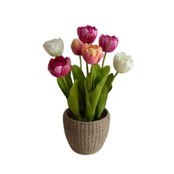 Mixed Tulip Woven Pot 36cm