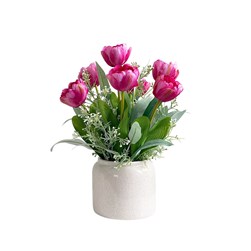 Pink Tulip Ceramic Pot 33cm