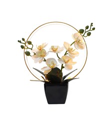 LED Cream Orchid Lamp 26cm