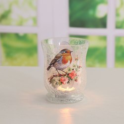 Robin Hurricane 11cm