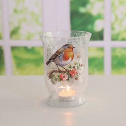 Robin Hurricane 15cm