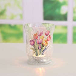 Tulip Hurricane 11cm Tulip Hurricane 11cm