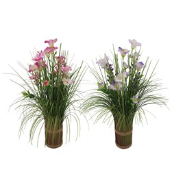 Bell Flower Mix Grass Bundle 45cm 2 Assorted Bell Flower Mix Grass Bundle 45cm 2 Assorted