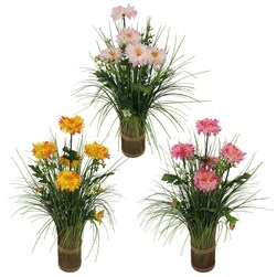 Dahlia Mix Grass Bundle 45cm 3 Assorted