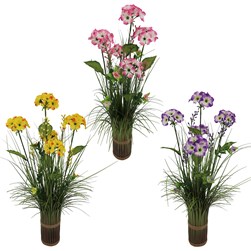 Geranium Mix Grs Bndl 45cm 3Ast Geranium Mix Grs Bndl 45cm 3Ast