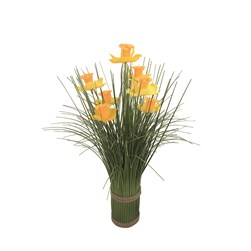 Daffodil Grass Bundle 45cm
