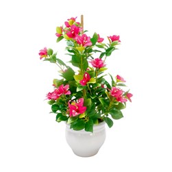 Bougainvillea Ceramic Pot 50cm