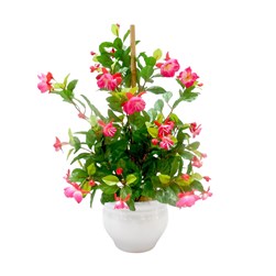 Fuchsia Ceramic Pot 50cm