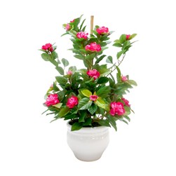 Rose Ceramic Pot 50cm Rose Ceramic Pot 50cm