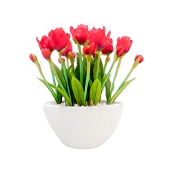 Red Tulip Ceramic Pot 32cm