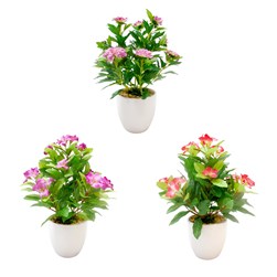 Znia/Keria/Cthrnthus 30cm 3Ast