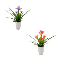 Purple/Orange Iris Crmic Pot 45cm 2Ast
