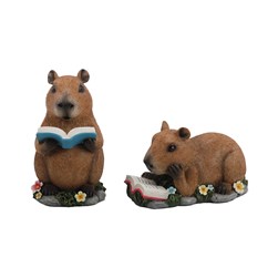 Capybara Reading 15cm 2 Assorted