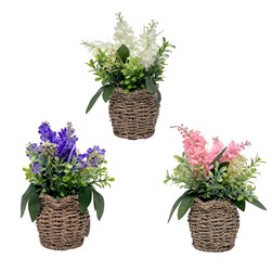 Hyacinth Basket 23cm 3 Assorted Hyacinth Basket 23cm 3 Assorted