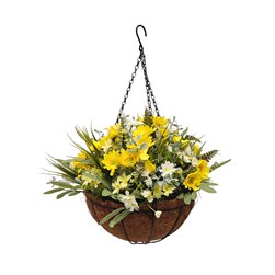 Chrysanthemum Hanging Basket 60cm