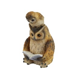Owls Reading 18cm