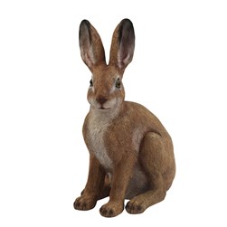 Hare 26cm
