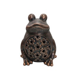 Solar Frog 24 x 33cm