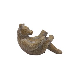 Bear Reading 15cm