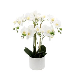 White Orchid Round Pot 56cm White Orchid Round Pot 56cm