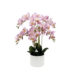 Pink Orchid Round Pot 56cm