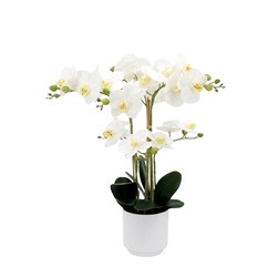 White Orchid Bowl 52cm