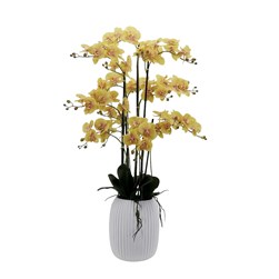 Yellow Orchid Tapered Pot 122cm