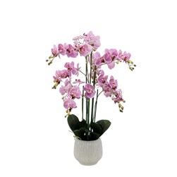 Purple Orchid Round Pot 94cm