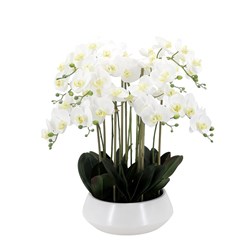 White Orchid Cylinder Pot 70cm