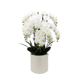 White Orchid Pot 94cm White Orchid Pot 94cm
