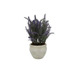 Oval Potted Lavender 36cm
