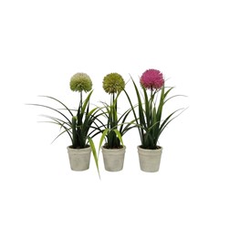 Allium Pot 44cm 3 Assorted
