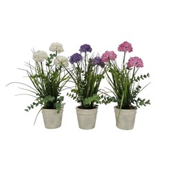 Allium Pot 43cm 3 Assorted
