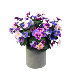 Mixed Pansies Grey Pot 36cm Mixed Pansies Grey Pot 36cm