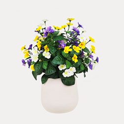 Mixed Pansy Pot 47cm