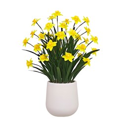 Daffodil Pot 81cm Daffodil Pot 81cm