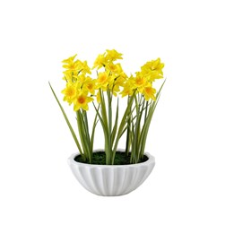 Daffodil Ribbed Bowl 27 x 37cm