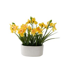 Daffodil Planter 23 x 28cm