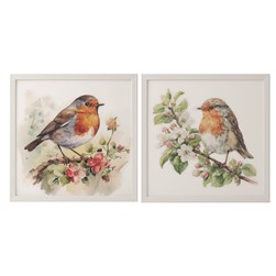 Robin Crystal Art 50cm 2 Assorted