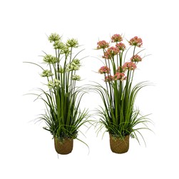 Allium Rattan Pot 98cm 2 Assorted