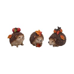 Autumn Hedgehog 7cm 3 Assorted Autumn Hedgehog 7cm 3 Assorted