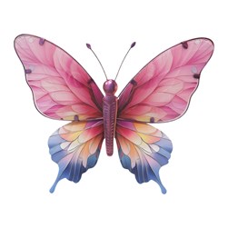 Butterfly Wall D‚cor 45x41cm
