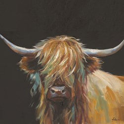 Canvas Oil Highland Cow 80x100