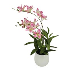 Cattleya Orchid Pink 54cm