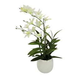Cattleya Orchid White 54cm