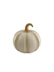 Cream Pumpkin 18cm Cream Pumpkin 18cm