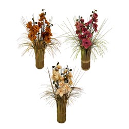 Delphinium Grass Bundles 45cm 3 Assorted Delphinium Grass Bundles 45cm 3 Assorted