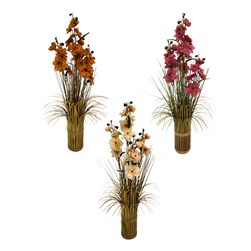 Delphinium Grass Bundles 65cm 3 Assorted Delphinium Grass Bundles 65cm 3 Assorted