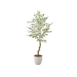 Ficus Tree 89cm
